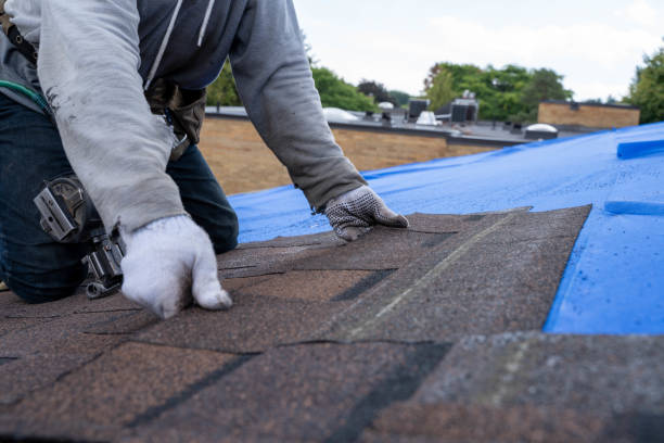 Best Emergency Roof Repair  in Cadott, WI