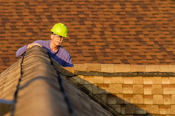 Roof Gutter Cleaning in Cadott, WI